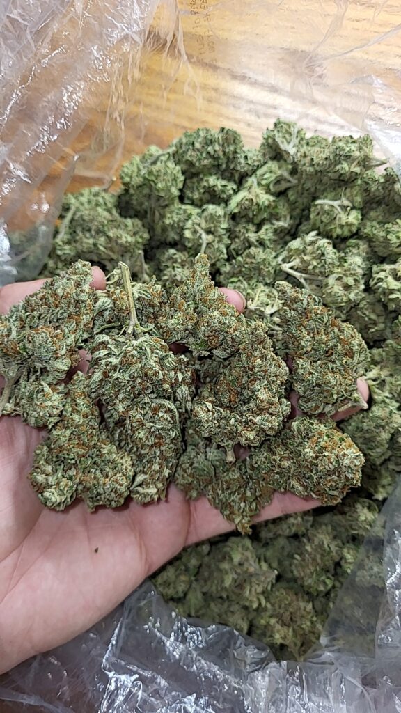 Platinum OG is an indica-dominant hybrid known for its potent effects, a calming body buzz, and a strong, earthy aroma with pine and diesel notes. It's often used for pain relief, anxiety, and relaxation, and is particularly well-suited for nighttime use due to its sedative nature.