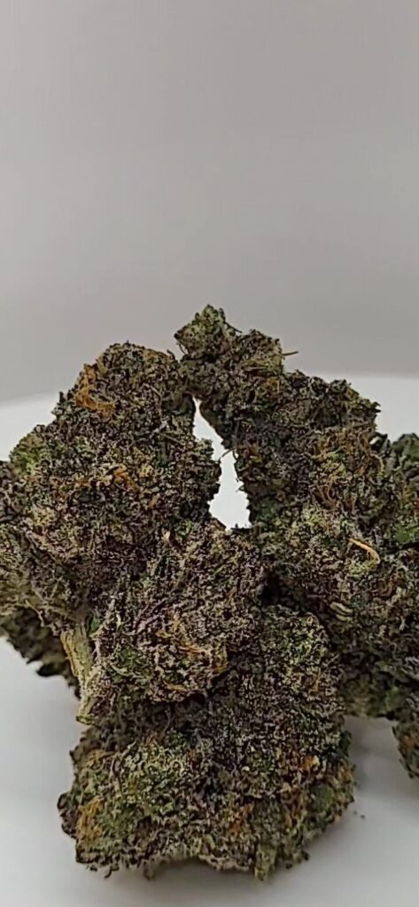 also known as Sunset Sherbet, is an Indica-leaning hybrid strain bred from Girl Scout Cookies and Pink Panties. It's known for its sweet, fruity flavor profile with hints of berry and mint. Users report Sherbet provides an uplifting and relaxing experience, making it suitable for both recreational and medicinal use.