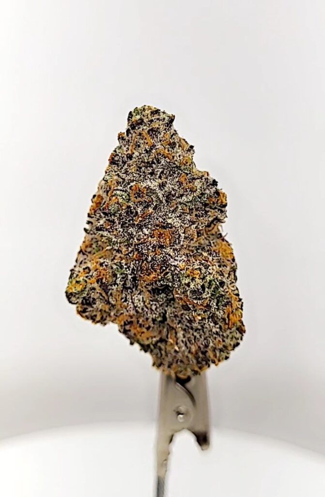 Permanent Marker" is a cannabis strain, not "Permanent Sherbet." Permanent Marker is an indica-dominant hybrid known for its potent effects and a unique flavor profile described as a mix of floral, soapy, candy, and gassy funk. It's a cross between Biscotti, Jealousy, and Sherbet BX, bred by Seed Junky Genetics' JBeezy and selected by Doja Pak. The strain is known for its relaxing and creative effects, making it a good choice for both daytime and nighttime use.